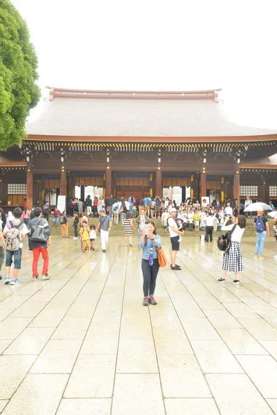 DSC_3306 (Large).JPG